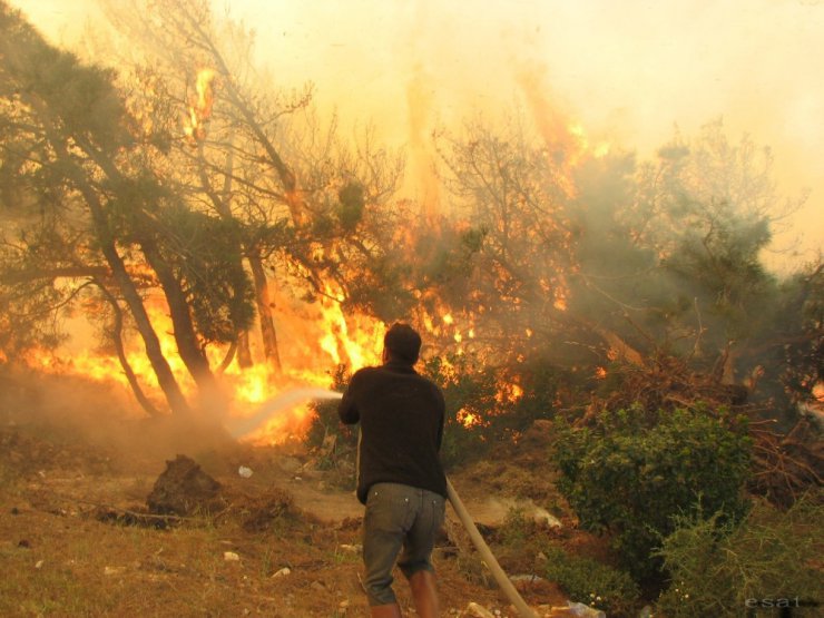 Eskişehir’deki orman yangını büyümeden kontrol altına alındı