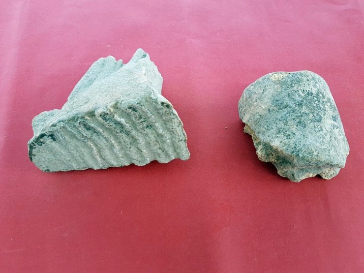 Tatarlı Höyük kazılarında fil kalıntıları bulundu