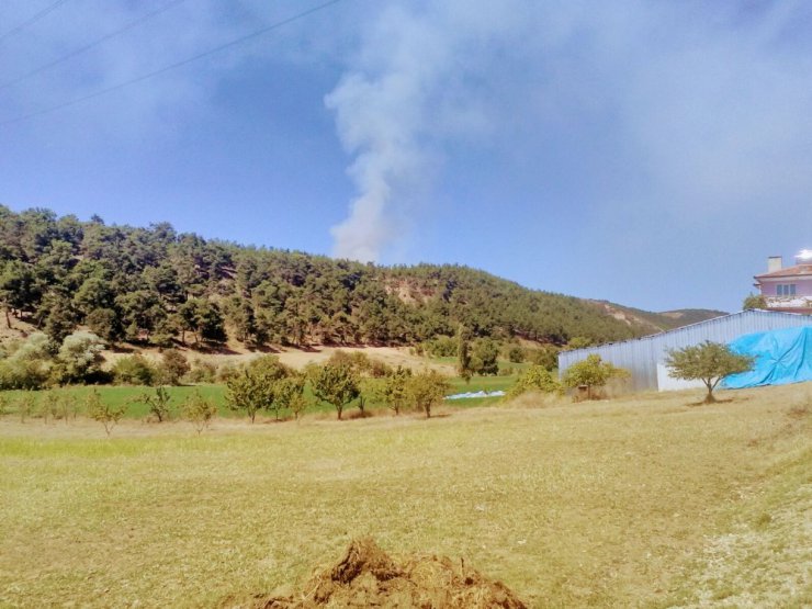 Bursa’da orman yangını çıktı