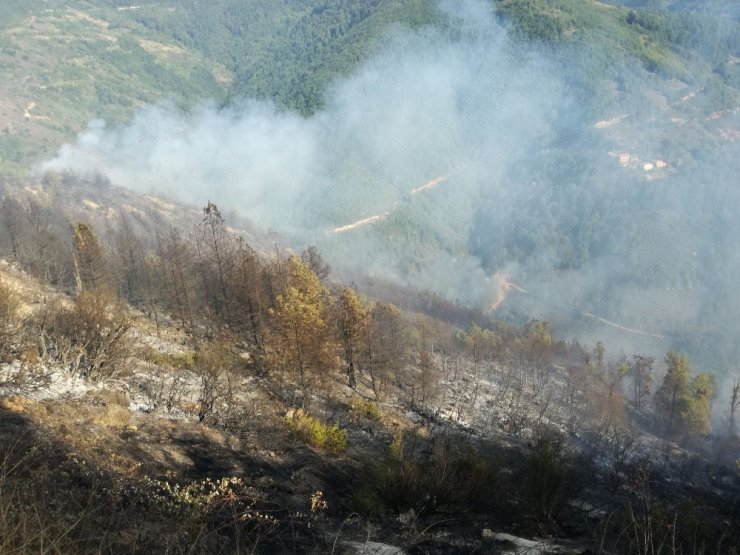 Kastamonu’da çıkan orman yangını 24 saatte kontrol altına alındı