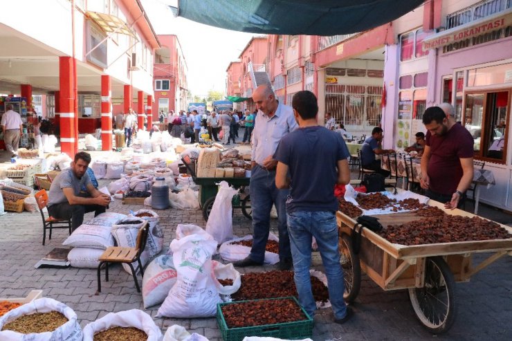 Yüksek rekolte kayısı fiyatlarını yarı yarıya düşürdü