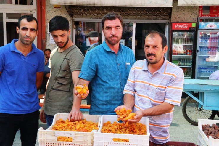 Yüksek rekolte kayısı fiyatlarını yarı yarıya düşürdü