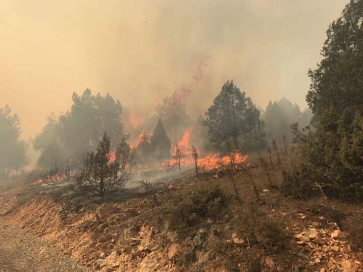 Dursunbey’de yaklaşık 100 hektar alan yangında zarar gördü