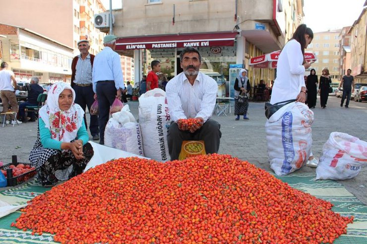 Kuşburnu pazara indi