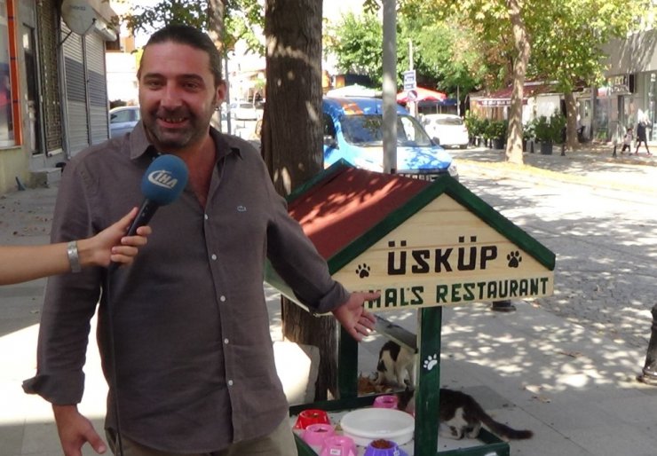 Sokak hayvanları için mini restoran oluşturdu