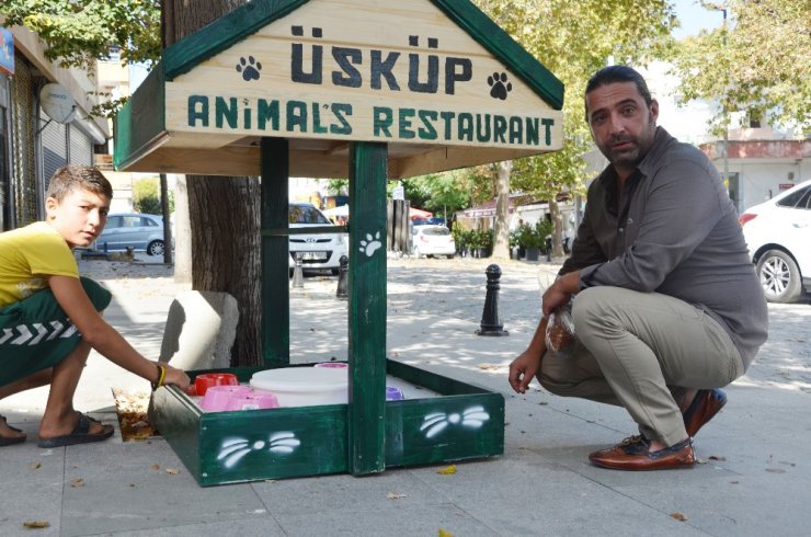 Sokak hayvanları için mini restoran oluşturdu