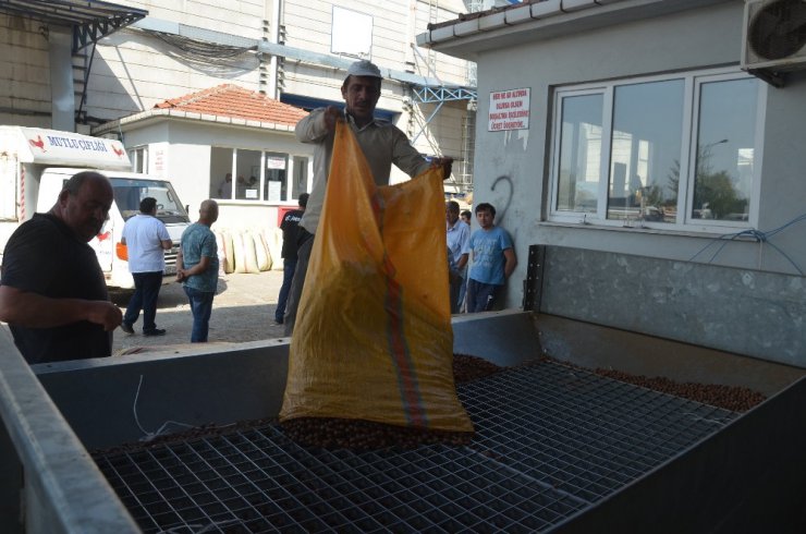 Üreticiler TMO’yu tercih ediyor