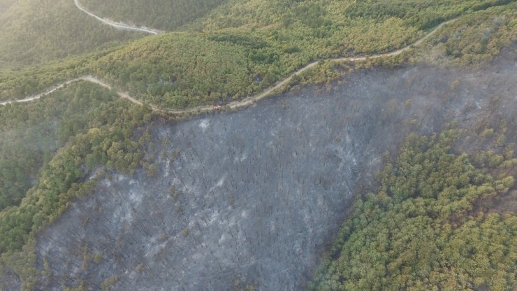 Orman yangınında 25 hektar alan kül oldu