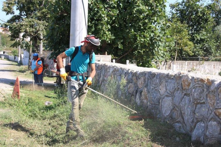 Akçakoca Belediyesi ekipleri uzayan otları temizliyor