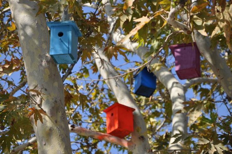 Karabiga Belediyesi ağaçlara kuş evleri koydu