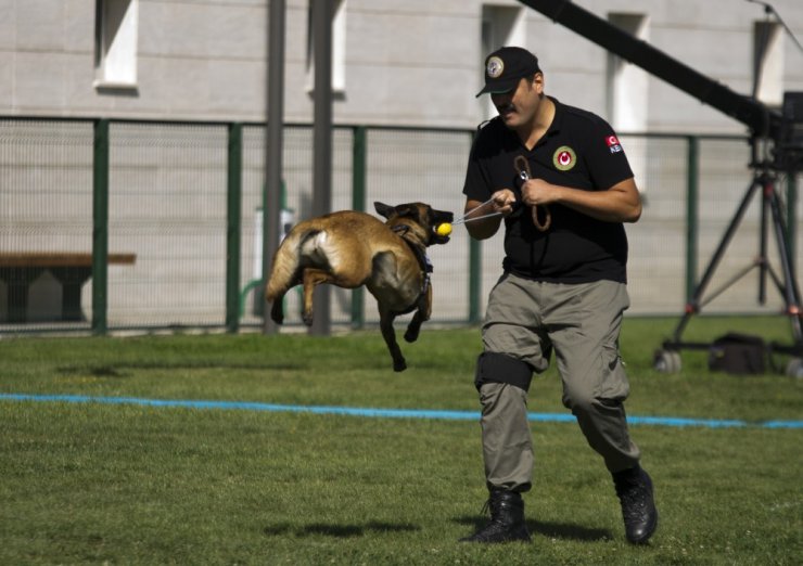 Gümrük ve Ticaret Bakanlığı Köpek Eğitim Merkezi açıldı