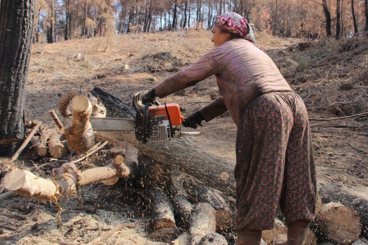 Yanan ormanlar onların ekmek kapısı