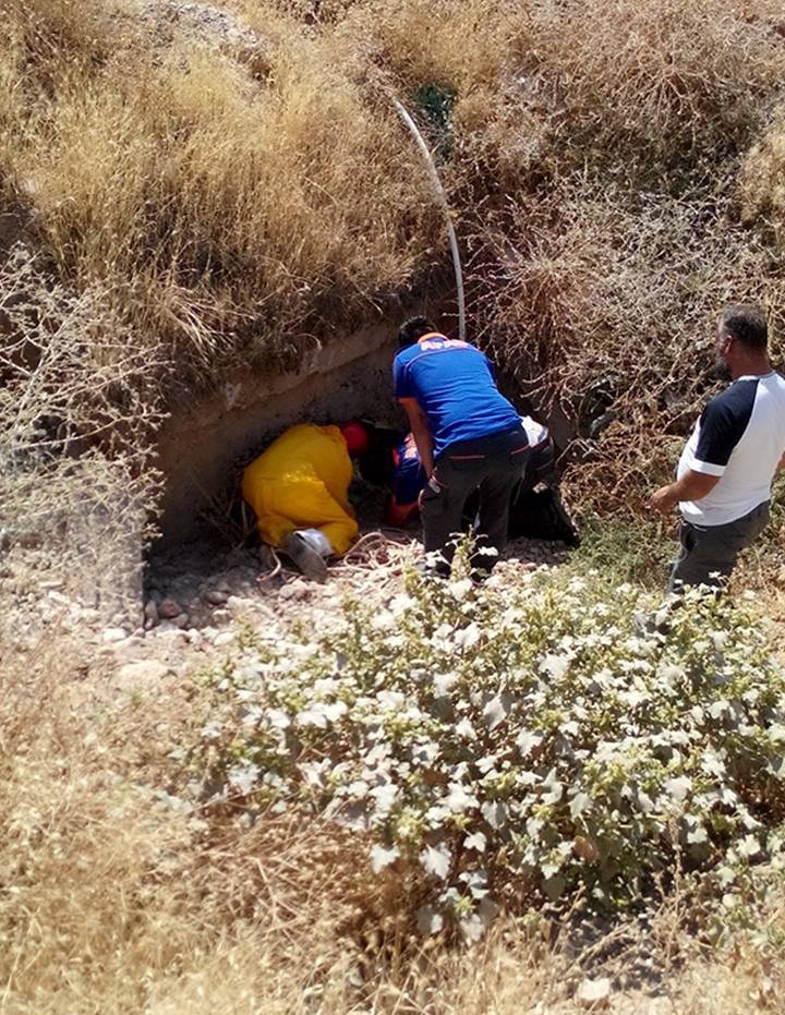 Tunceli’de yaralı köpeği AFAD ekibi kurtardı