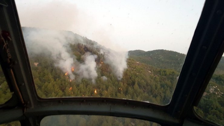 Muğla Milas’ta orman yangını