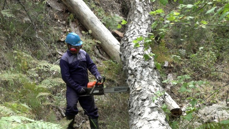 Mondial, tarım aletleri satışına başladı