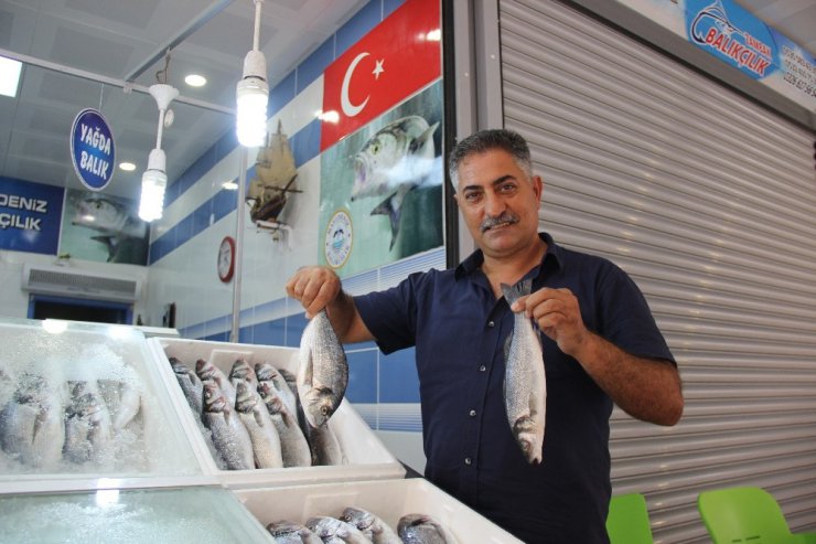 Balık semt pazarı esnafı açılışa özel balık ziyafeti verecek