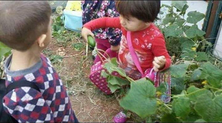 Altıntaş’ta ’sağlıklı besleniyoruz’ projesinin ilk ürünleri