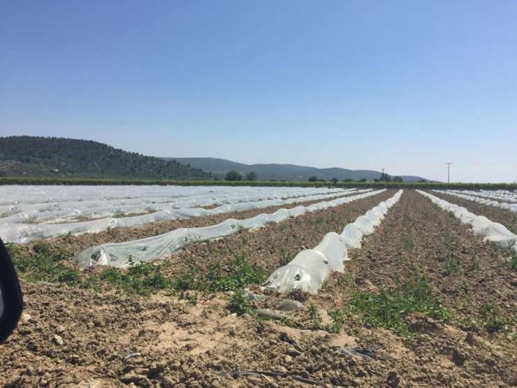 Tarımsal sulama tesisleri bakım onarımdan geçti