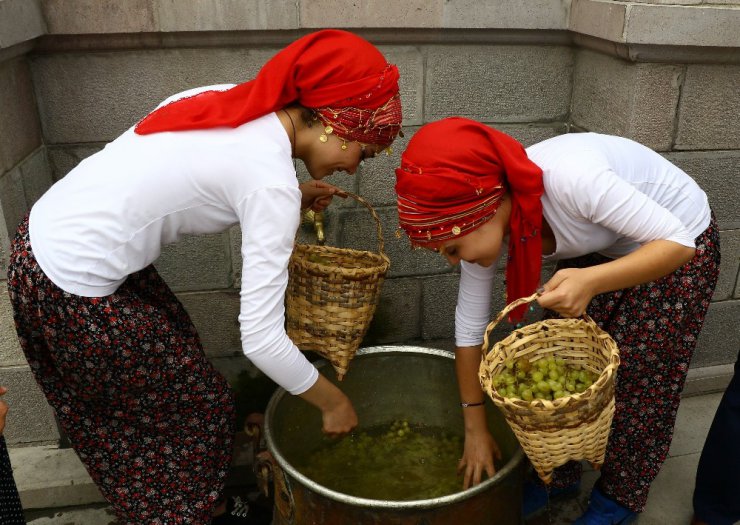 Altınköy’de bağ bozumu şenliği yapıldı