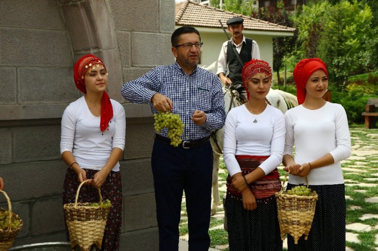 Altınköy’de bağ bozumu şenliği yapıldı