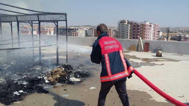 Midyat’ta güvercin kümesinde yangın