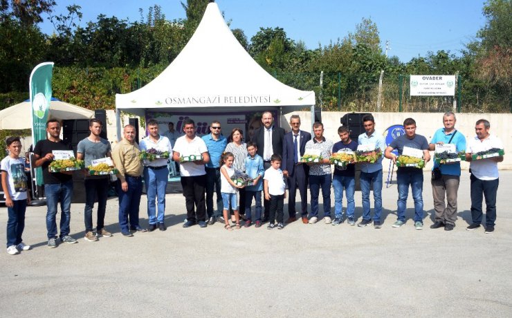 Osmangazi’de Üzüm Festivali coşkusu