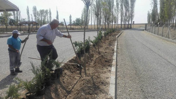 Sungurlu’da 9 bin fidan toprakla buluştu