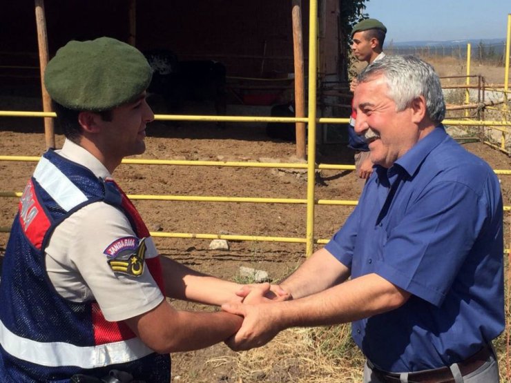 Büyükbaş hayvan dolandırıcısı yakalandı