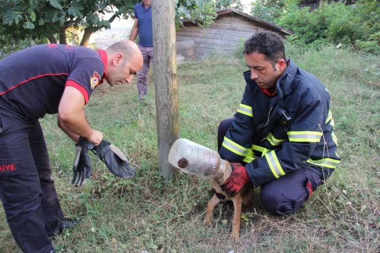 Kafasını turşu bidonuna sıkıştıran köpeğe itfaiye yardımı