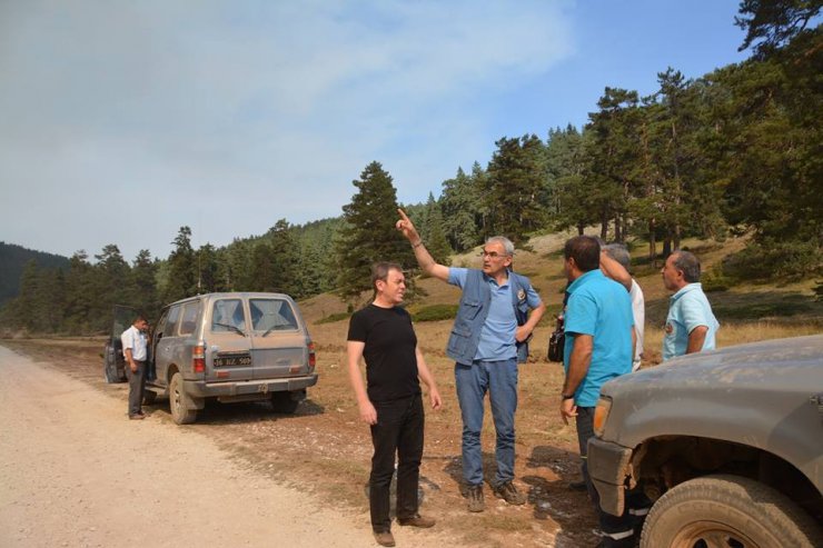 Orman Bölge Müdürü Adnan Kayım: Yanan orman alanları 1 yıl içerisinde ağaçlandırılacak