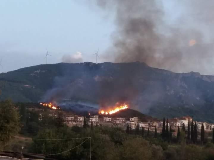 Aydın’da 3 ayrı yerde orman yangını