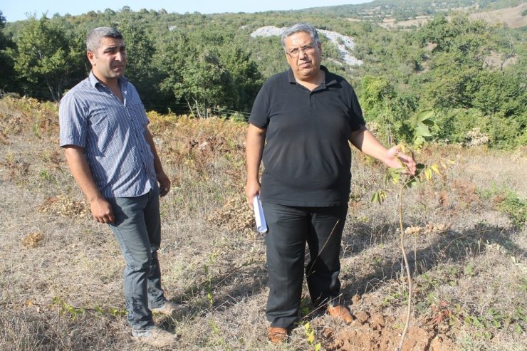 "Genç Çiftçi projesi" ile kendi işlerini kurdular