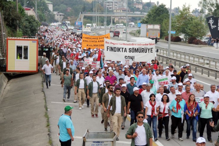 Ordu-Giresun arasında yapılan "Fındık için Adalet Yürüyüşü" 3. gününde tamamlandı