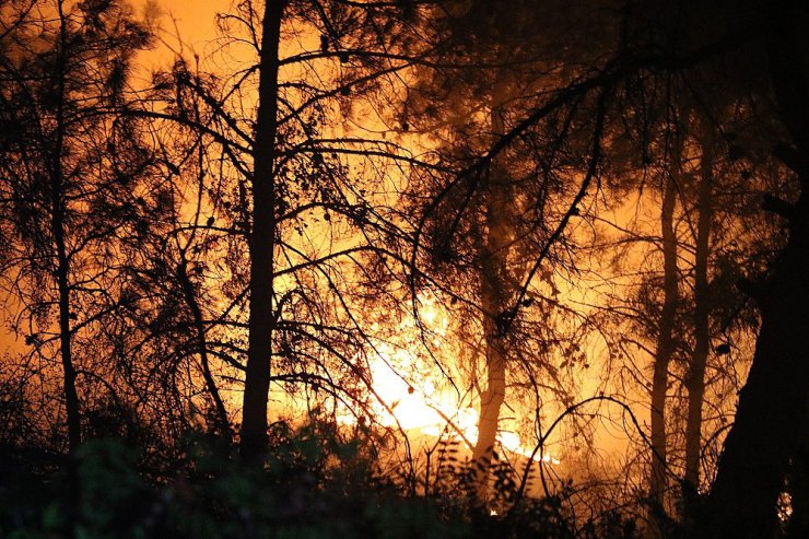 Karabük’teki orman yangınına müdahale sürüyor