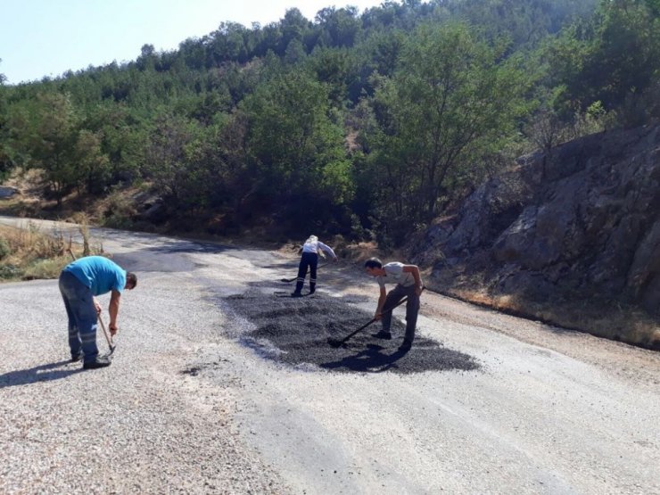 Selendi’de seralarda üretim başlayacak