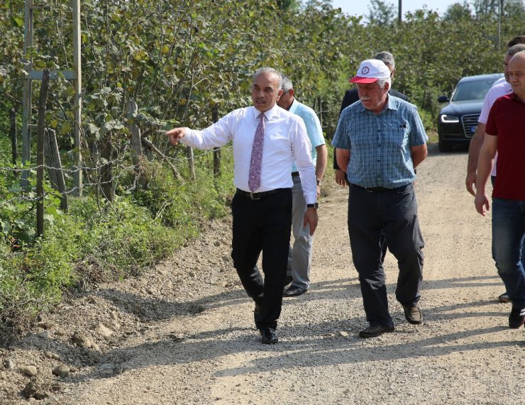 Altınordu’da beton yola devam