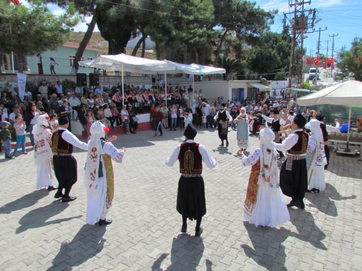 Çeşme’de Ovacık Tarım ve Sakız Koyunu Şenliği başlıyor