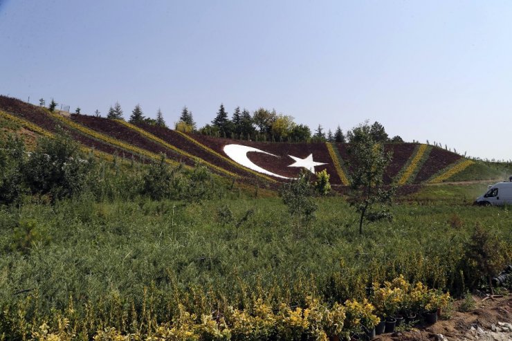 Başkan Duruay ağaçlandırma çalışmalarını yerinde inceledi