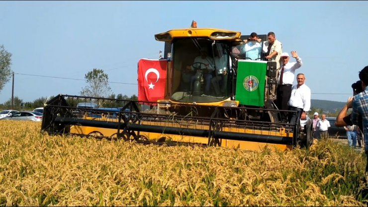 Bafra Ovası 2. Çeltik Hasat Şenliği