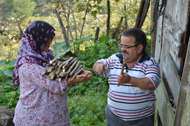 Boyları küçük ama kalpleri kocaman