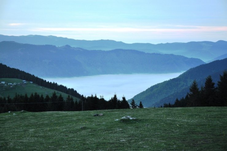 Türkiye’nin 222. tabiat parkı Giresun’daki Aymaç Parkı oldu