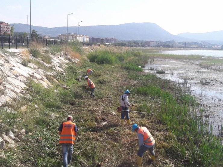Beyşehir Gölü kıyıları ve BSA kanalında temizlik mesaisi