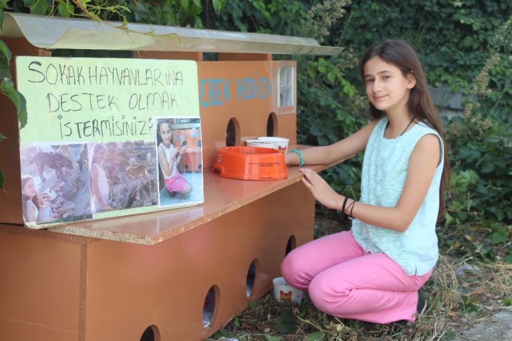 11 yaşında sokaklarda keman çalarak kedi evi yaptırdı