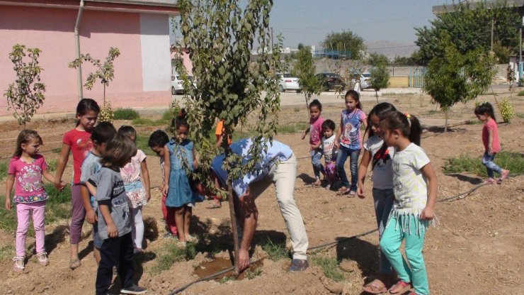 Okulun bahçesini meyve bahçesine dönüştürdüler