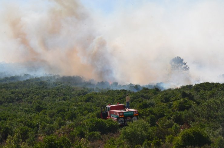 Sancaktepe’de askeri alanda yangın