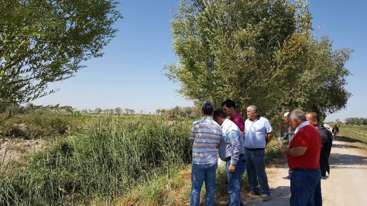 TİKA’dan, Aral Gölü civarında fidanlık ve ağaçlandırma çalışmaları