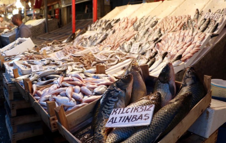 Yasak kalktı, en pahalı balığın kilosu bile 15 liraya düştü