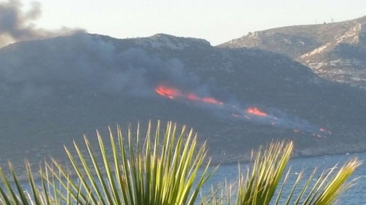 Meis Adası’nda orman yangını