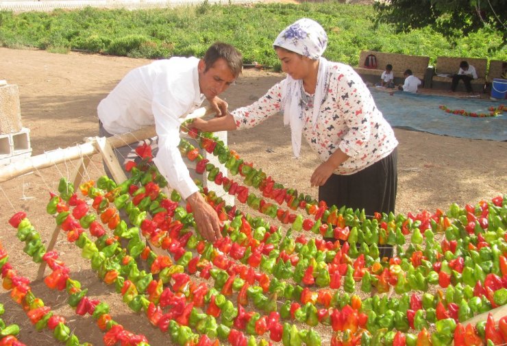 Kurutmalık salça ve turşuluklara yoğun ilgi