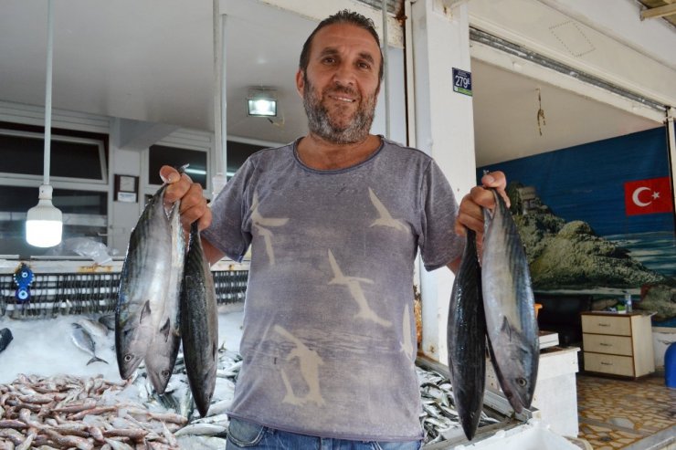 Karadeniz’de balık yok